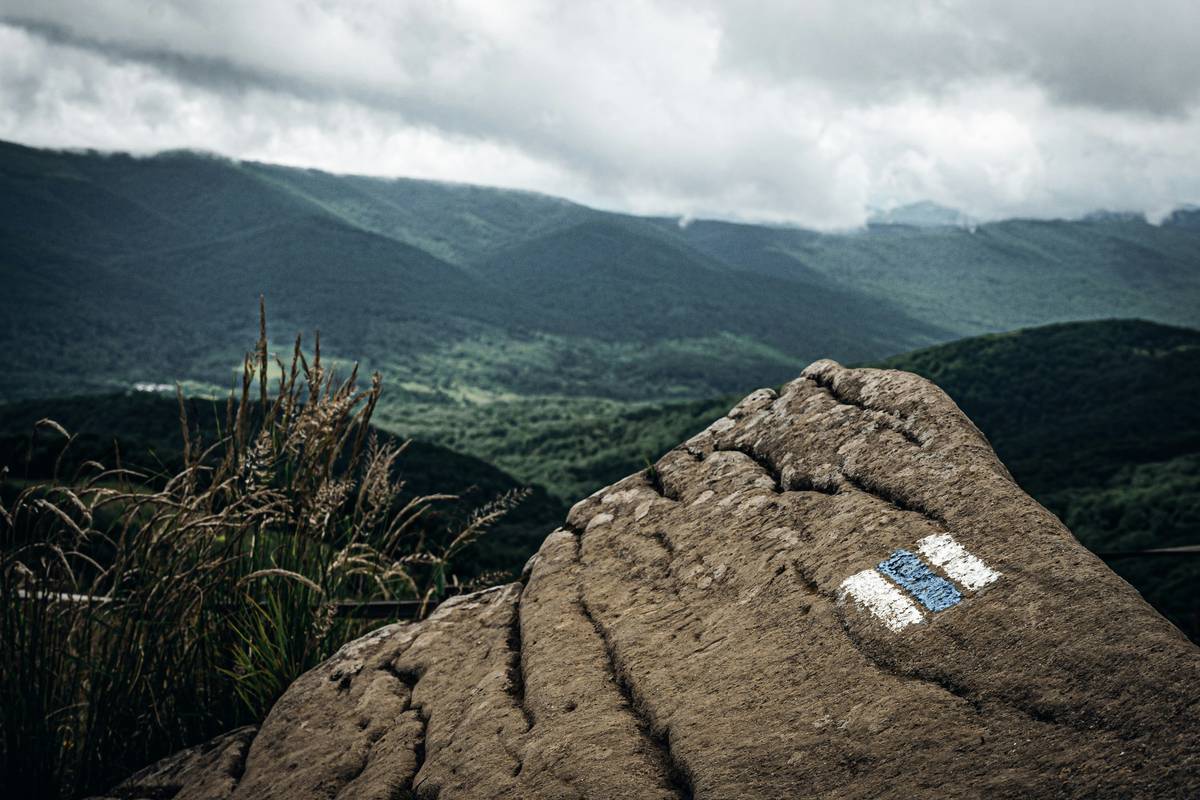 altimeter watch for multi-day hikes showing elevation profile on wrist during mountain hike